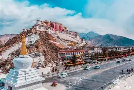 拉萨林城主场小胜，重返胜利轨道