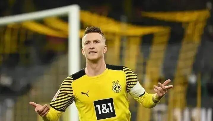 霍芬海姆成为联赛黑马，缔造佳绩