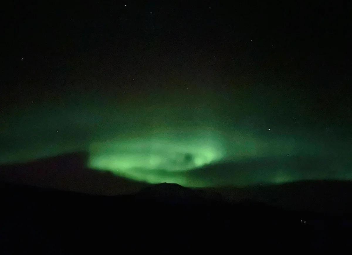 开云体育-冰岛意外惊艳表现，晋级希望渐增
