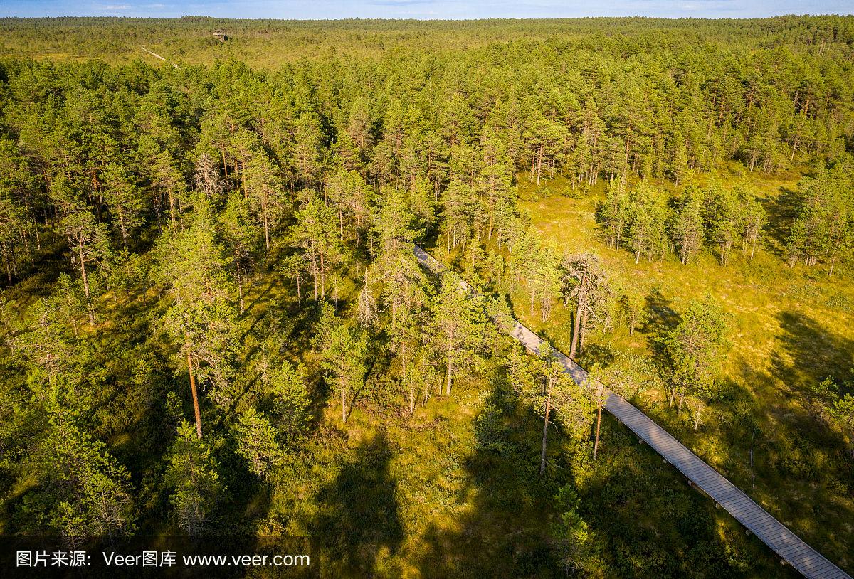 白俄罗斯惨败爱沙尼亚，小组赛陷入泥潭