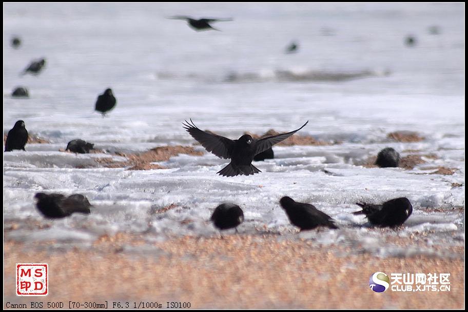 比利时双杀奥地利，英格兰轻取亚美尼亚