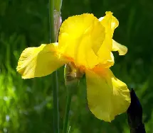 开云体育-埃尔塞优尼斯及尤文斯蒂马敬欢迎挑战