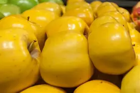 埃尔塞优尼斯及尤文斯蒂马敬欢迎挑战