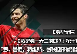 开云体育登录-华沙维斯瓦赫主场获胜，士气高涨的简单介绍